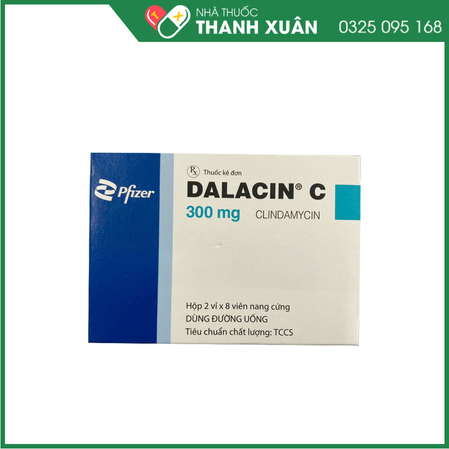 Dalacin C 300mg thuốc kháng sinh điều trị nhiễm khuẩn
